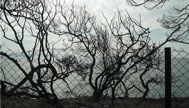 Δημοτικός Σύμβουλος Μαραθώνα: Αφαντοι Δούρου και Ψινάκης τις κρίσιμες ώρες